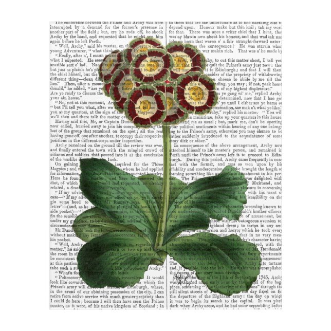 Primula Auricula Red Acrylic Print (Front)