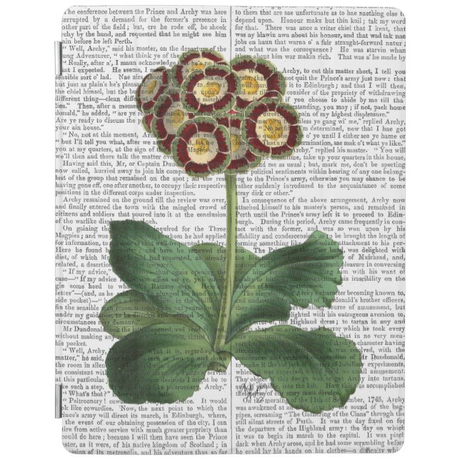 Primula Auricula Red iPad Air Cover (Front)