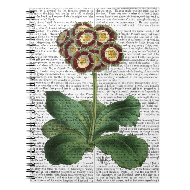 Primula Auricula Red Notebook (Front)