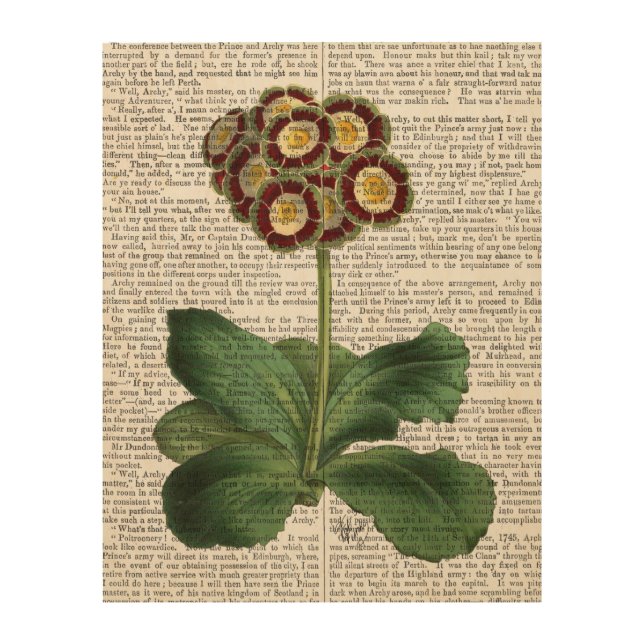 Primula Auricula Red Wood Wall Art (Front)