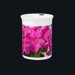 primula beverage pitcher<br><div class="desc">primula in the garden</div>