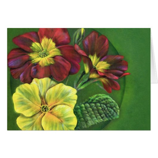 Primula primrose spring art painting cards (Front Horizontal)