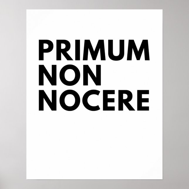 Primum Non Nocere The Nurse's Hippocratic Oath Poster (Front)