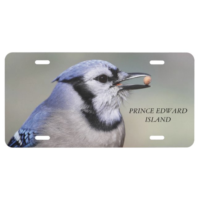 Prince Edward Island License Plate (Front)