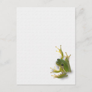 "prince" frog postcard