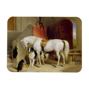 Prince George's Favourites (oil on canvas) Magnet