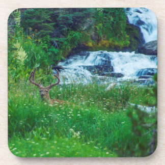Prince of the Forest Beverage Coaster