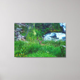 Prince of the Forest Canvas Print