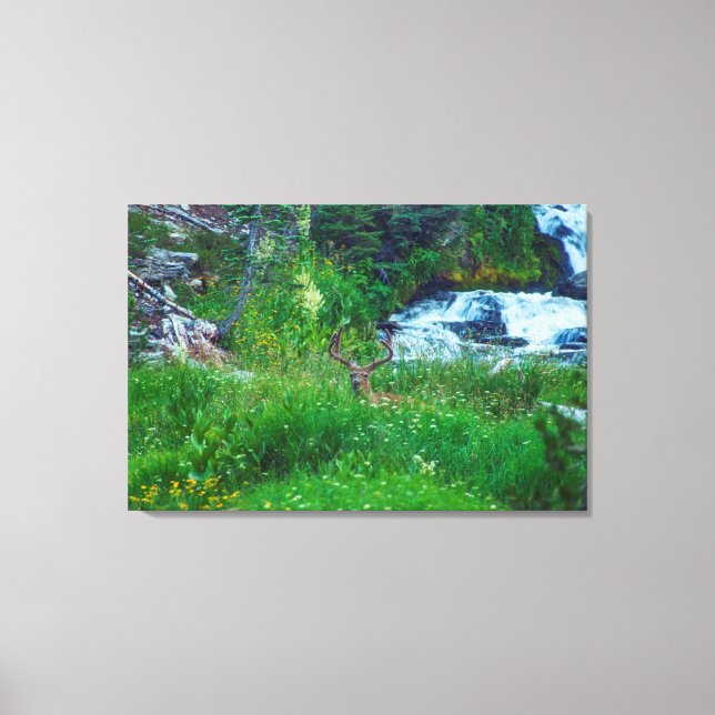 Prince of the Forest Canvas Print (Front)