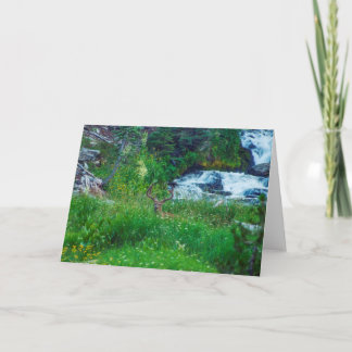 Prince of the Forest Card