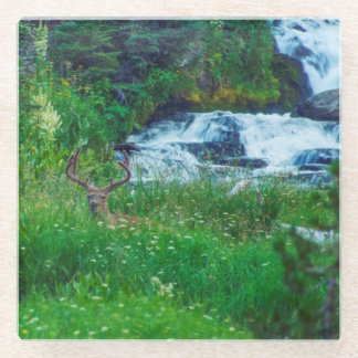 Prince of the Forest Glass Coaster