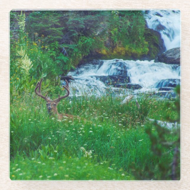 Prince of the Forest Glass Coaster (Front)