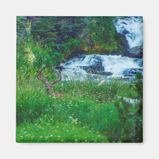 Prince of the Forest Magnet