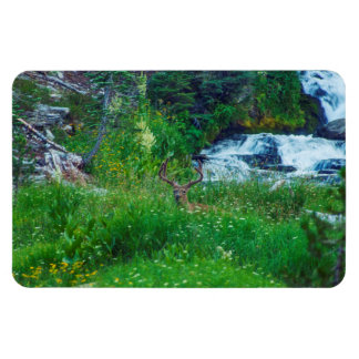 Prince of the Forest Magnet