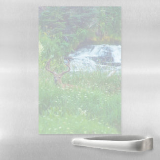 Prince of the Forest Magnetic Dry Erase Sheet
