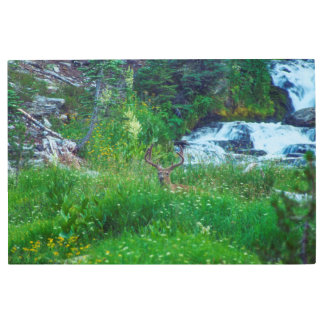 Prince of the Forest Metal Print