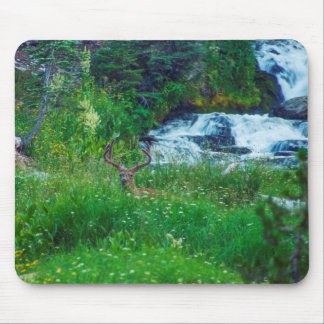 Prince of the Forest Mouse Pad