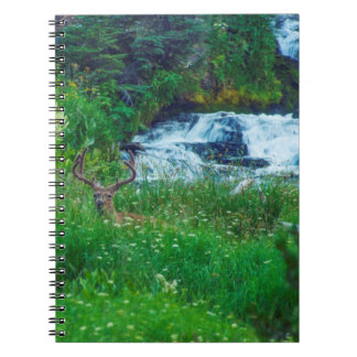 Prince of the Forest Notebook