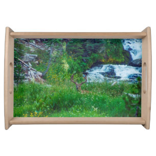 Prince of the Forest Serving Tray