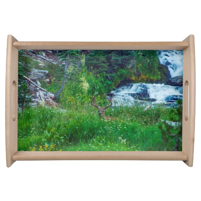 Prince of the Forest Serving Tray (Front)