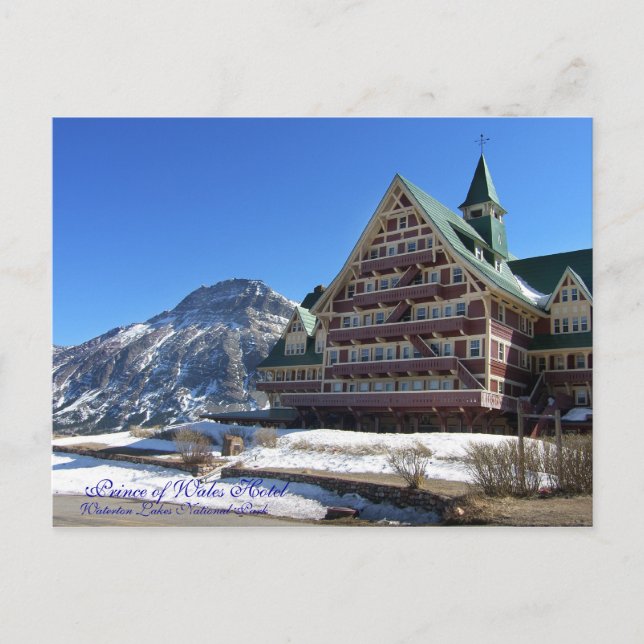 Prince of Wales Hotel Postcard (Front)