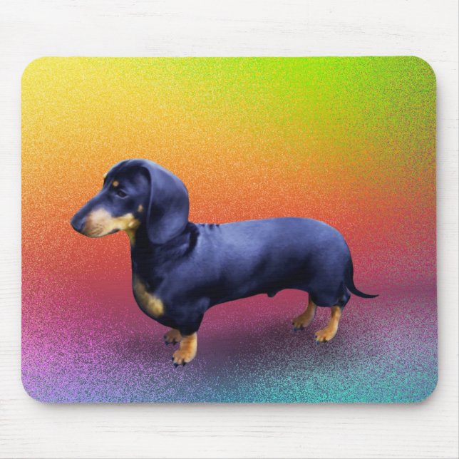 Princely Dachshund in a Rainbow Mousepad (Front)