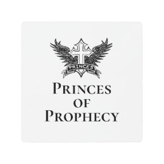 Princes: Logo metal Print
