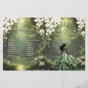 Princess and Frog Sage Green Quinceanera Program