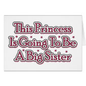 Princess Big Sister (Front Horizontal)