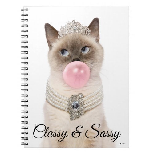 Princess Cat Blowing Bubble Gum Notebook
