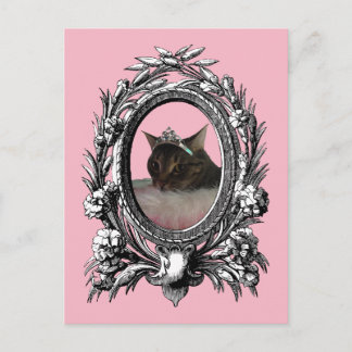 Princess Cat Vintage Frame Pink Background Postcard