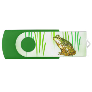 Princess Charming Frog Swivel USB 2.0 Flash Drive