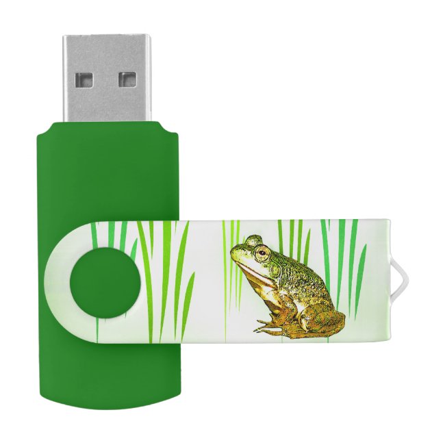 Princess Charming Frog Swivel USB 2.0 Flash Drive