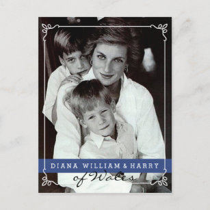 Princess Diana of Wales Will and Harry Postcard