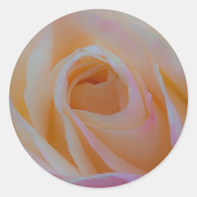 Princess Diana Rose Classic Round Sticker (Front)