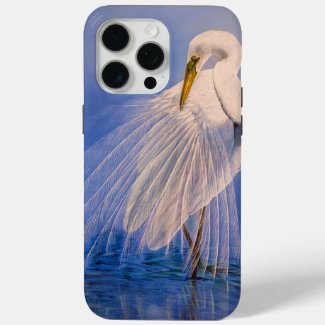 Princess of the mist - Great Egret 