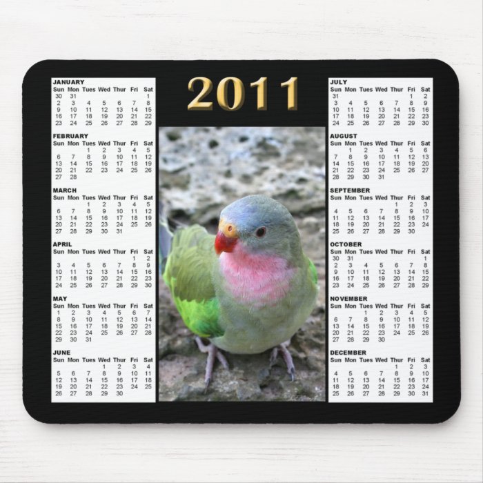 Princess Parrot 2011 Calendar Mousepad