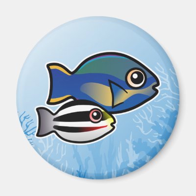 Princess Parrotfish Magnet