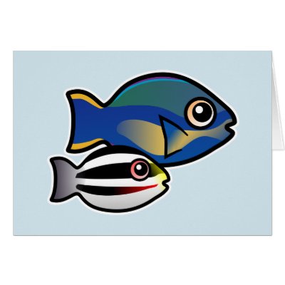 Princess Parrotfish with baby