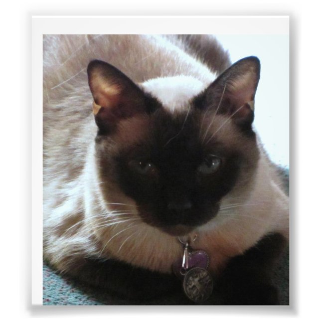 Princess Photo Print (Front)