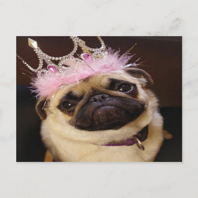 Princess Pug Postcard (Front)