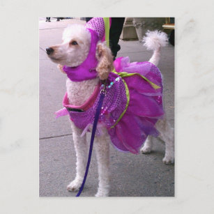 Princess Puppy Postcard