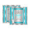 Princess Sweet 16 Teal Blue Aqua Silver Shoes
