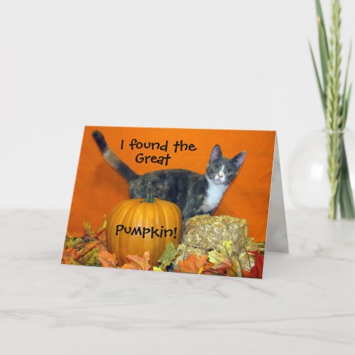Princess Tianas Search for the Best Pumpkin Cat Card