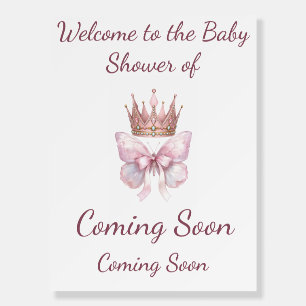 Princess Welcome Sign