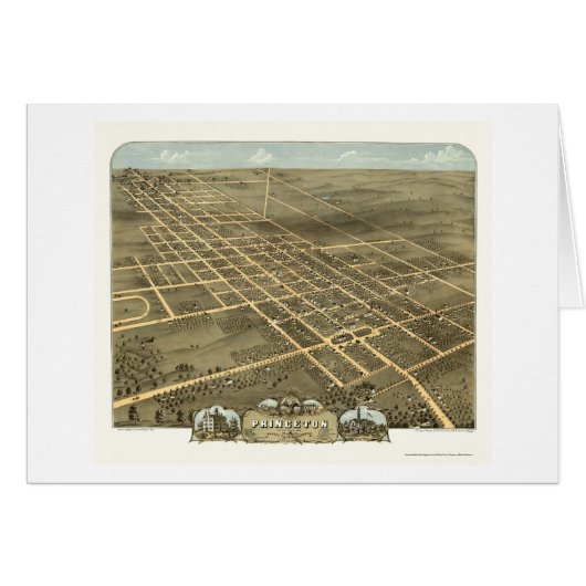 Princeton, IL Panoramic Map - 1870 Cards (Front Horizontal)