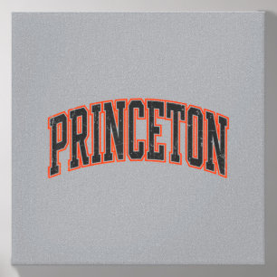 Princeton New Jersey Vintage Design Men Women Kids Canvas Photo Tile