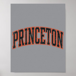 Princeton New Jersey Vintage Design Men Women Kids Poster