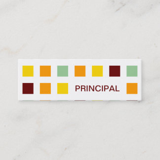 PRINCIPAL (mod squares) Mini Business Card
