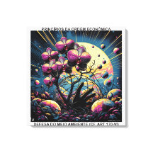 PRINCIPLES OF ECONOMIC ORDER - TENDED CANVES